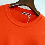 ionoiのレパコットロンTEE