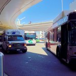 無事に帰国しました！