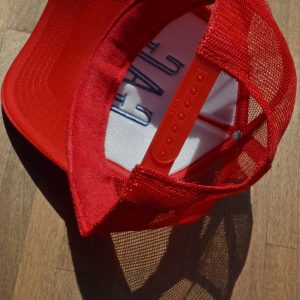 ツッコミ待ちの完成形。